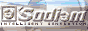 sodiem.com